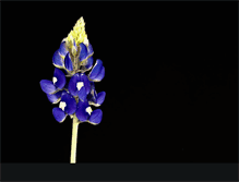 Tablet Screenshot of fnbbosque.com